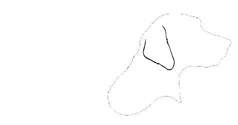 Moore's Fox Red Labs